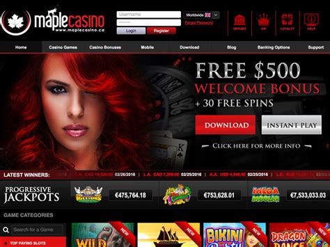 maple flash casino|Maple casino .